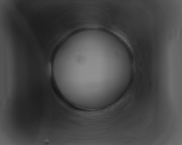 X0000101160013200806270742