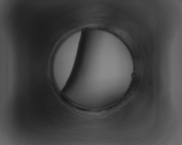 X0000101160016200806270742