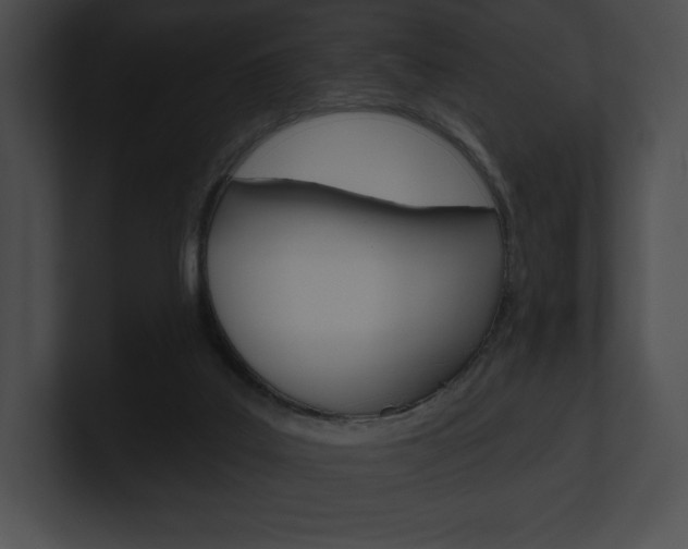 X0000101160019200806270742