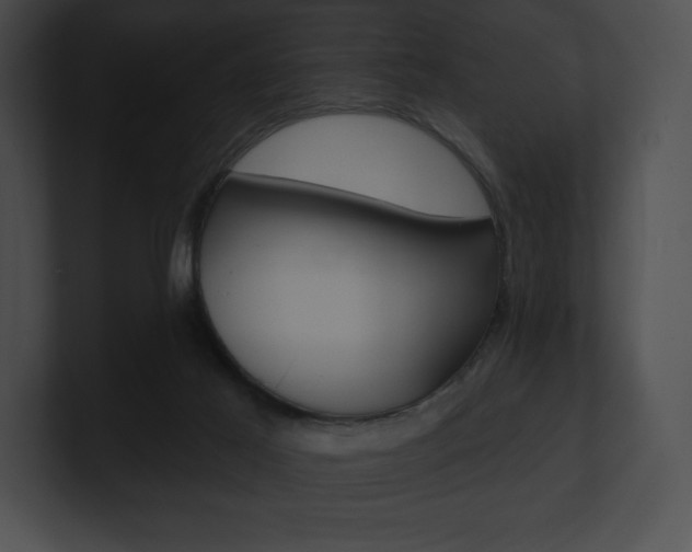 X0000101160021200806270742