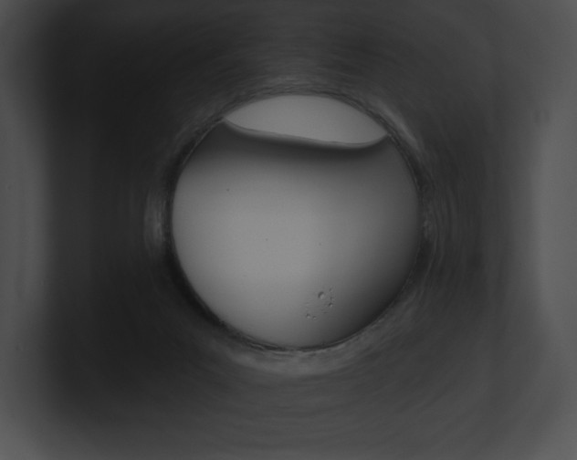 X0000101160023200806270742