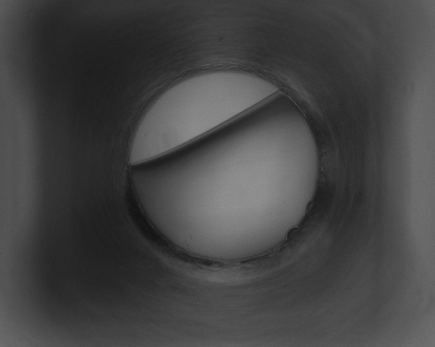 X0000101160024200806270742