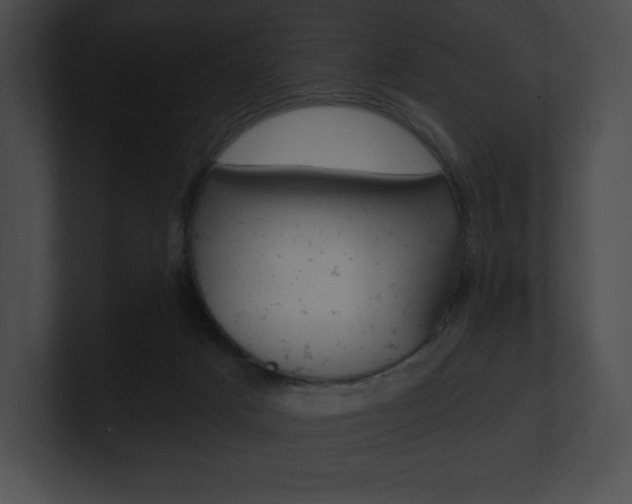 X0000101160025200806270742