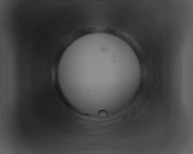 X0000101160026200806270742