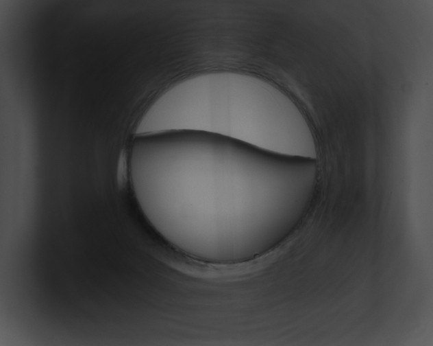 X0000101160027200806270742