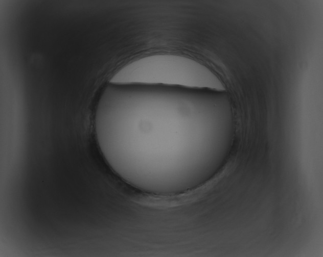 X0000101160029200806270742