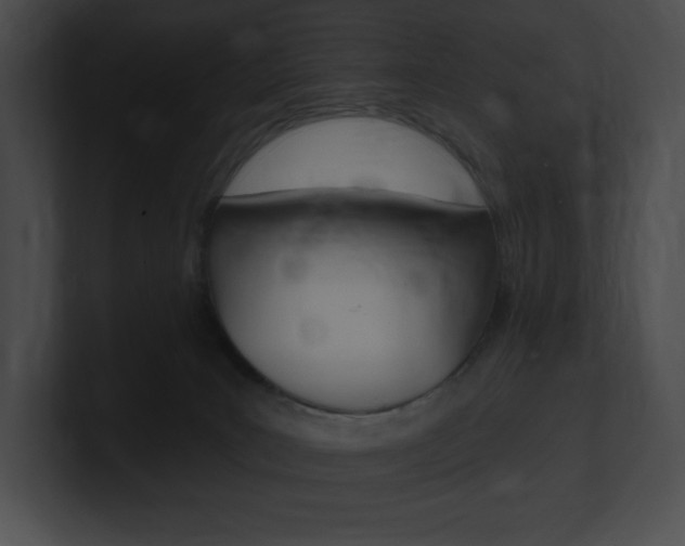 X0000101160035200806270742
