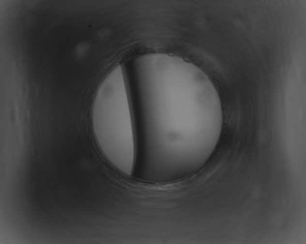 X0000101160036200806270742