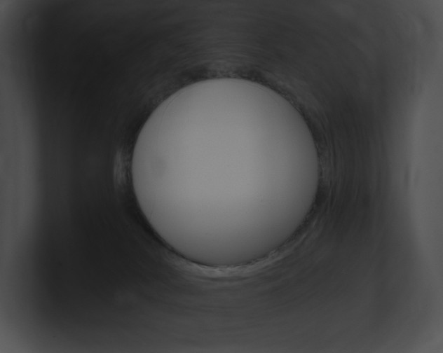X0000101160038200806270742
