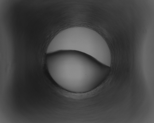 X0000101160039200806270742