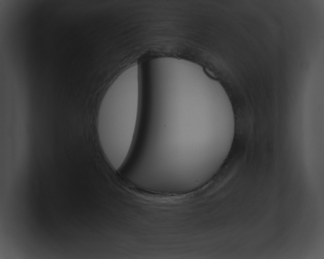 X0000101160040200806270742