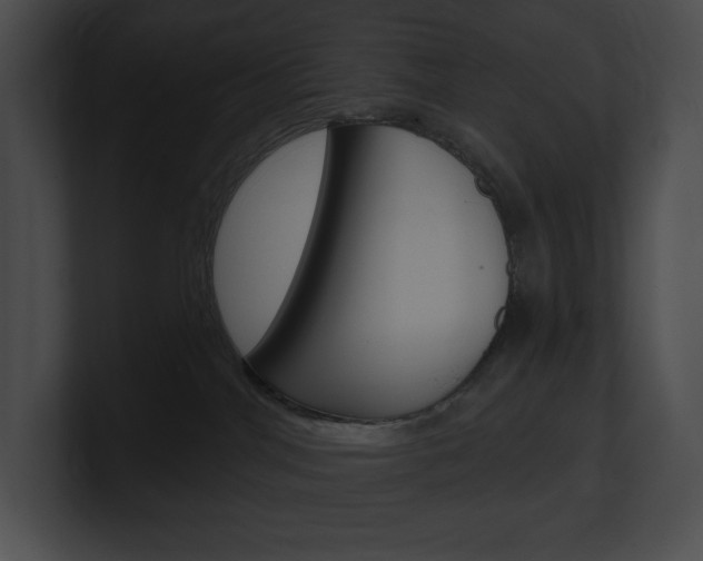 X0000101160044200806270742