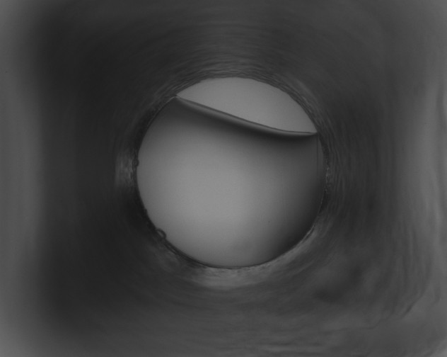 X0000101160045200806270742