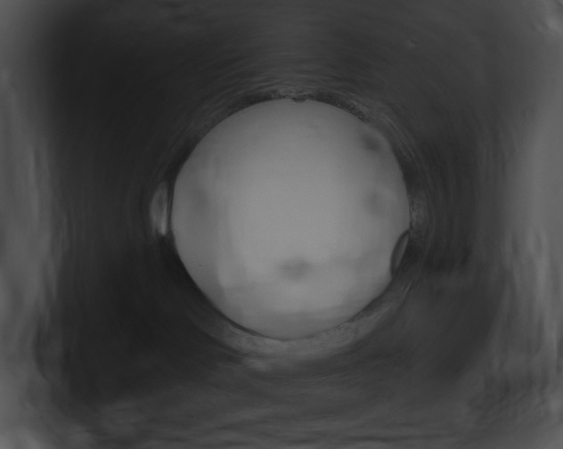 X0000101160046200806270742
