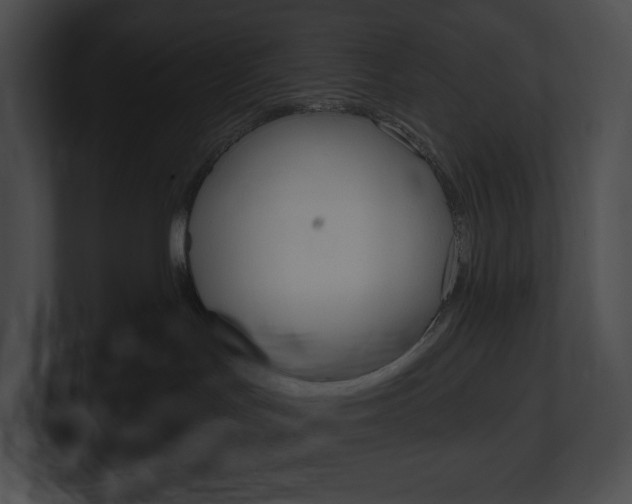 X0000101160047200806270742