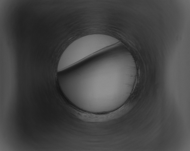 X0000101160048200806270742