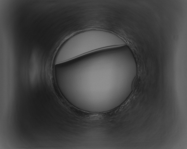 X0000101160050200806270741