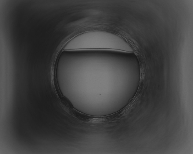 X0000101160051200806270741