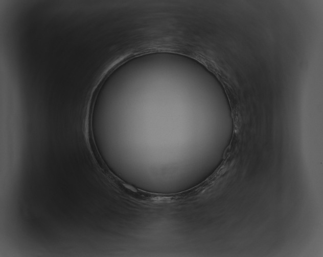 X0000101160052200806270741