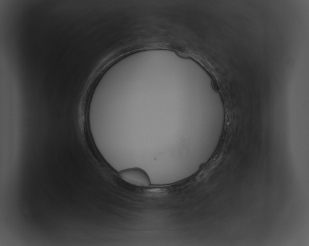 X0000101160053200806270741