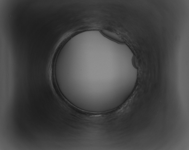 X0000101160054200806270741