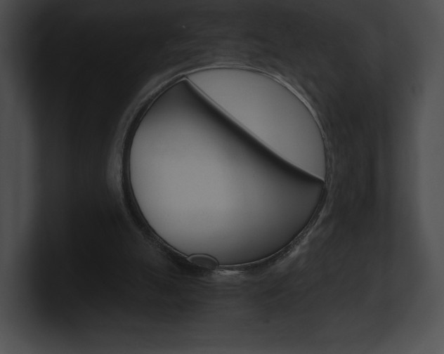 X0000101160055200806270741
