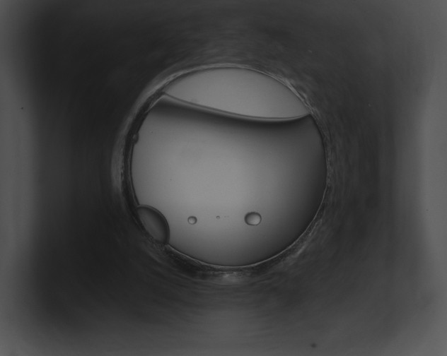 X0000101160056200806270741