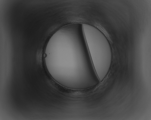 X0000101160058200806270741