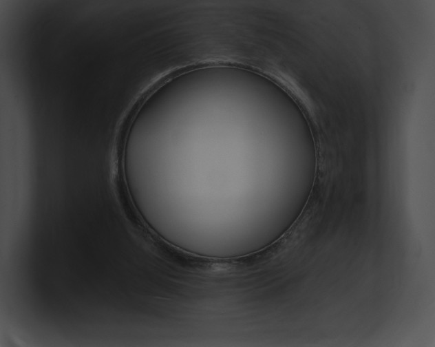 X0000101160060200806270741