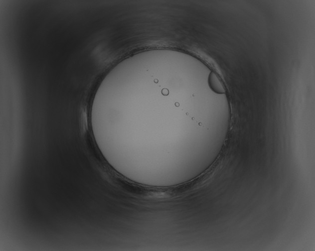 X0000101160061200806270741