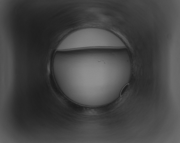 X0000101160062200806270741