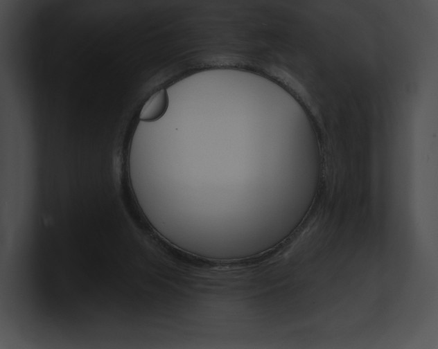 X0000101160063200806270741