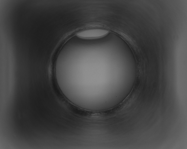 X0000101160064200806270741