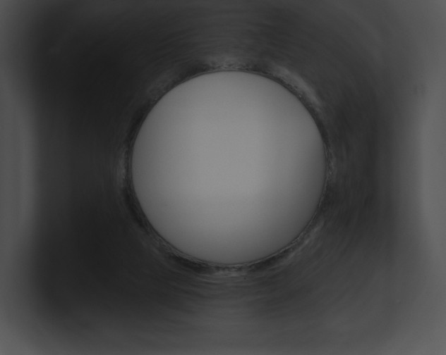 X0000101160065200806270741