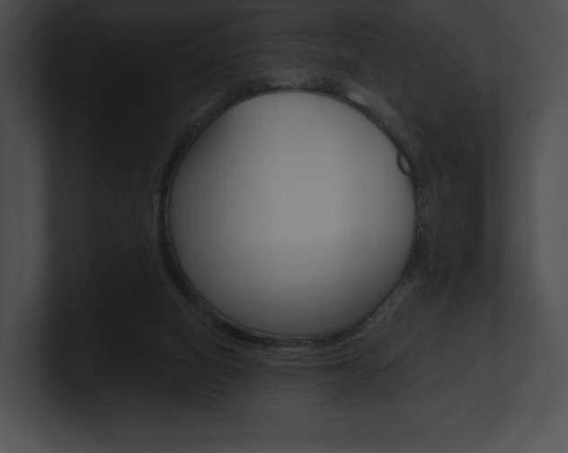 X0000101160066200806270741
