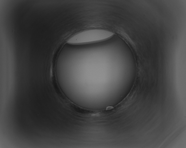 X0000101160068200806270741