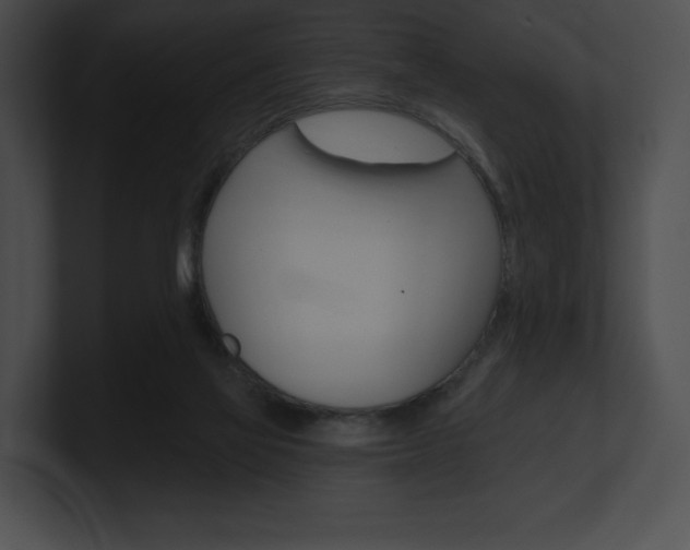 X0000101160069200806270741