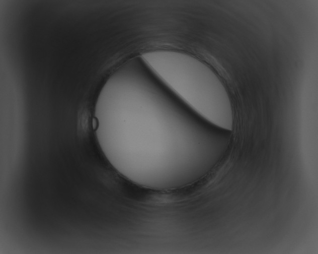 X0000101160071200806270741