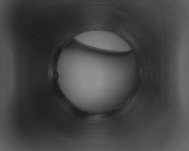 X0000101160072200806270741