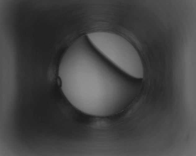 X0000101160073200806270741