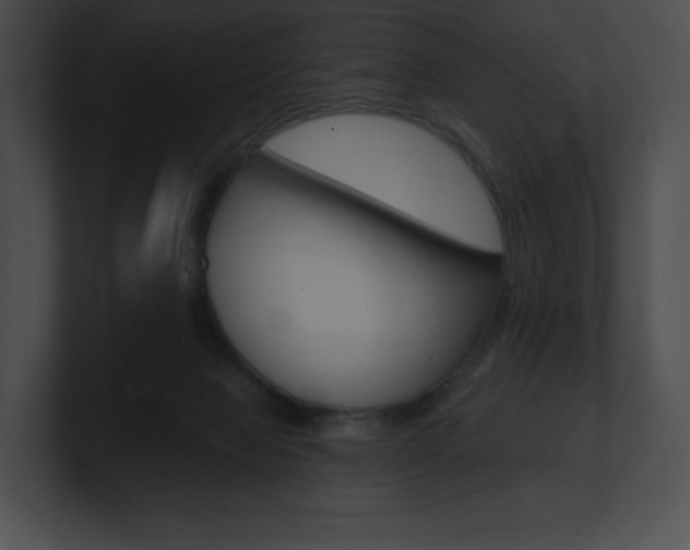 X0000101160077200806270741