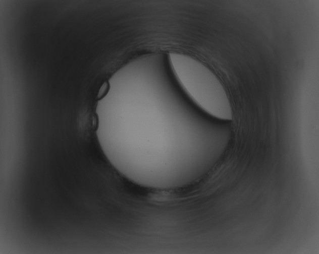 X0000101160079200806270741