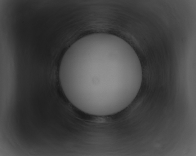 X0000101160083200806270742