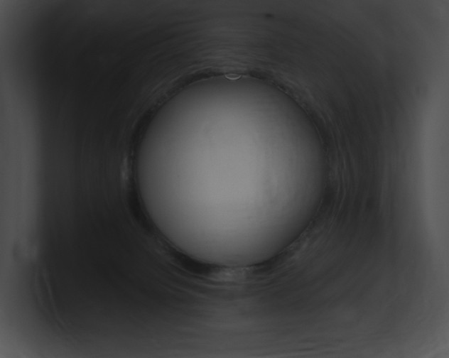 X0000101160084200806270742