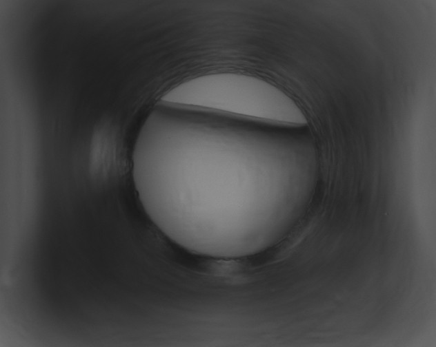 X0000101160085200806270742