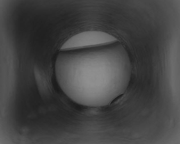 X0000101160086200806270742