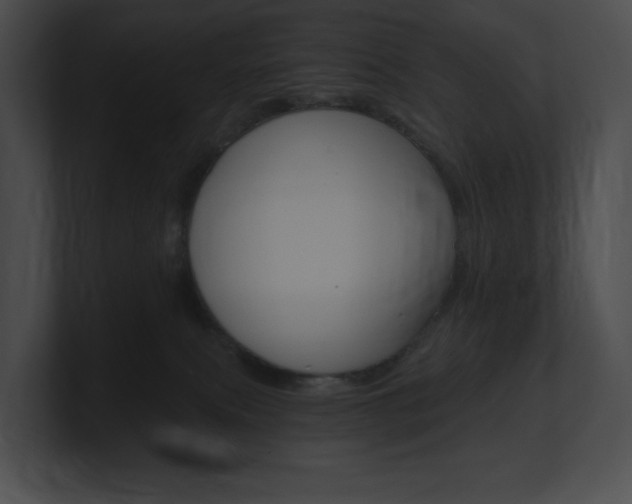 X0000101160087200806270742