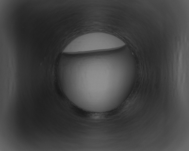 X0000101160088200806270742