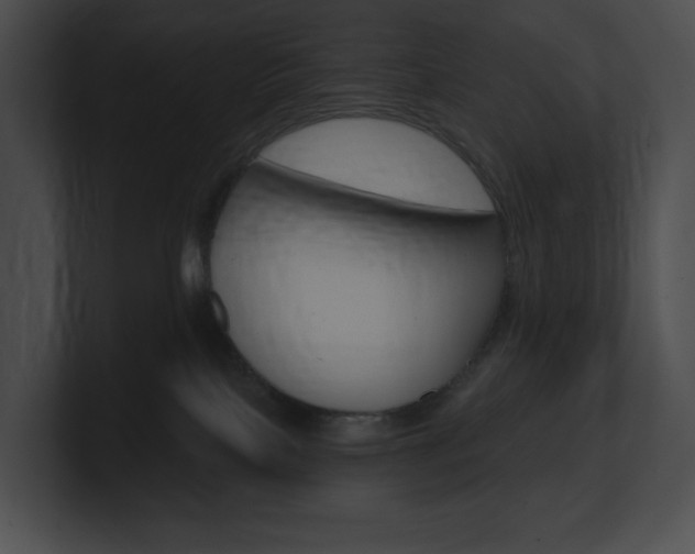 X0000101160089200806270742