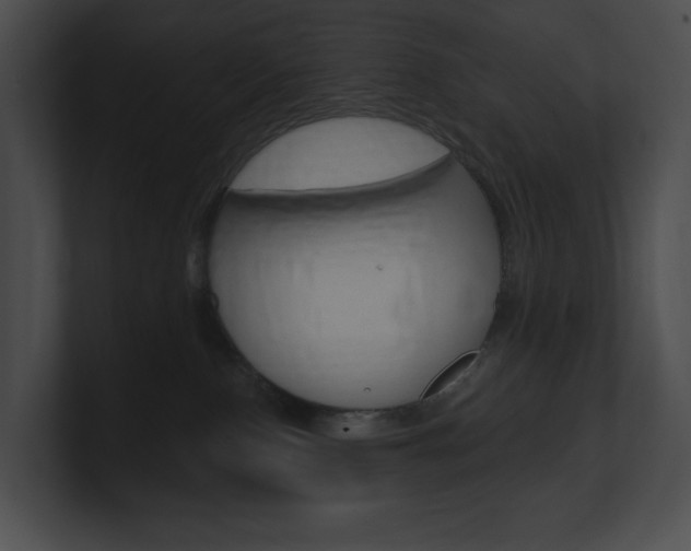 X0000101160090200806270742
